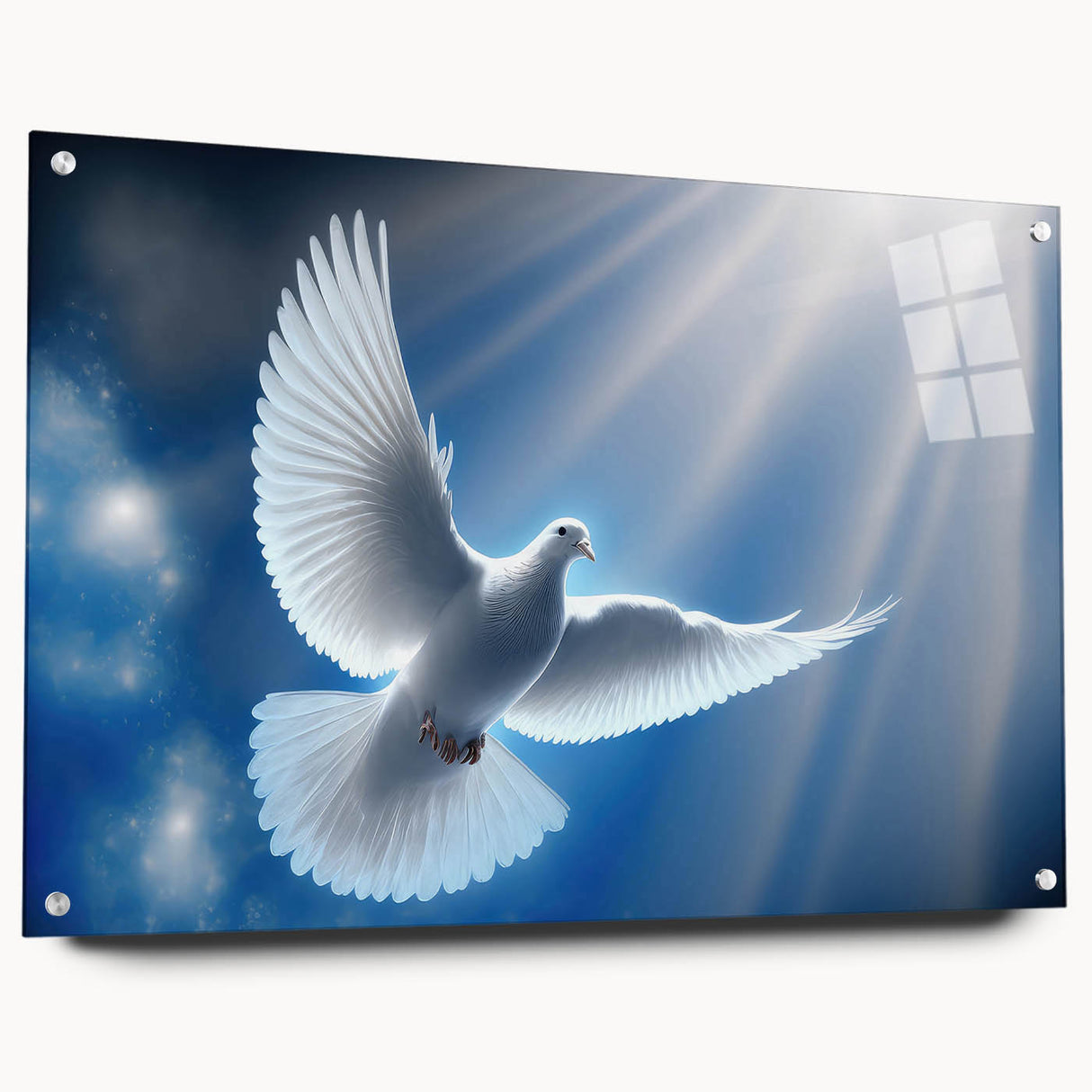 Acrylic glass wall art collection showcasing a side view of a dove design, elegantly mounted with pins, perfect for modern interior decor and bird-themed aesthetics.