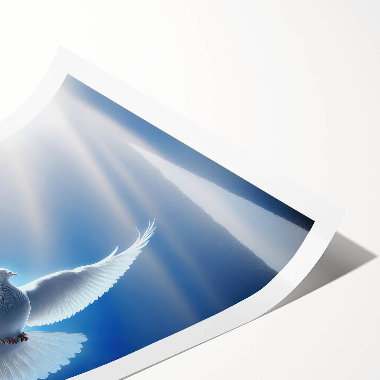 Rolled print of a serene dove design wall art featuring soft pastel colors, showcasing intricate details and a calming aesthetic, perfect for home decor.