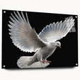 Side view of a wall art collection featuring a dove design on acrylic glass, showcasing vibrant colors and artistic details, secured with decorative pins for display.