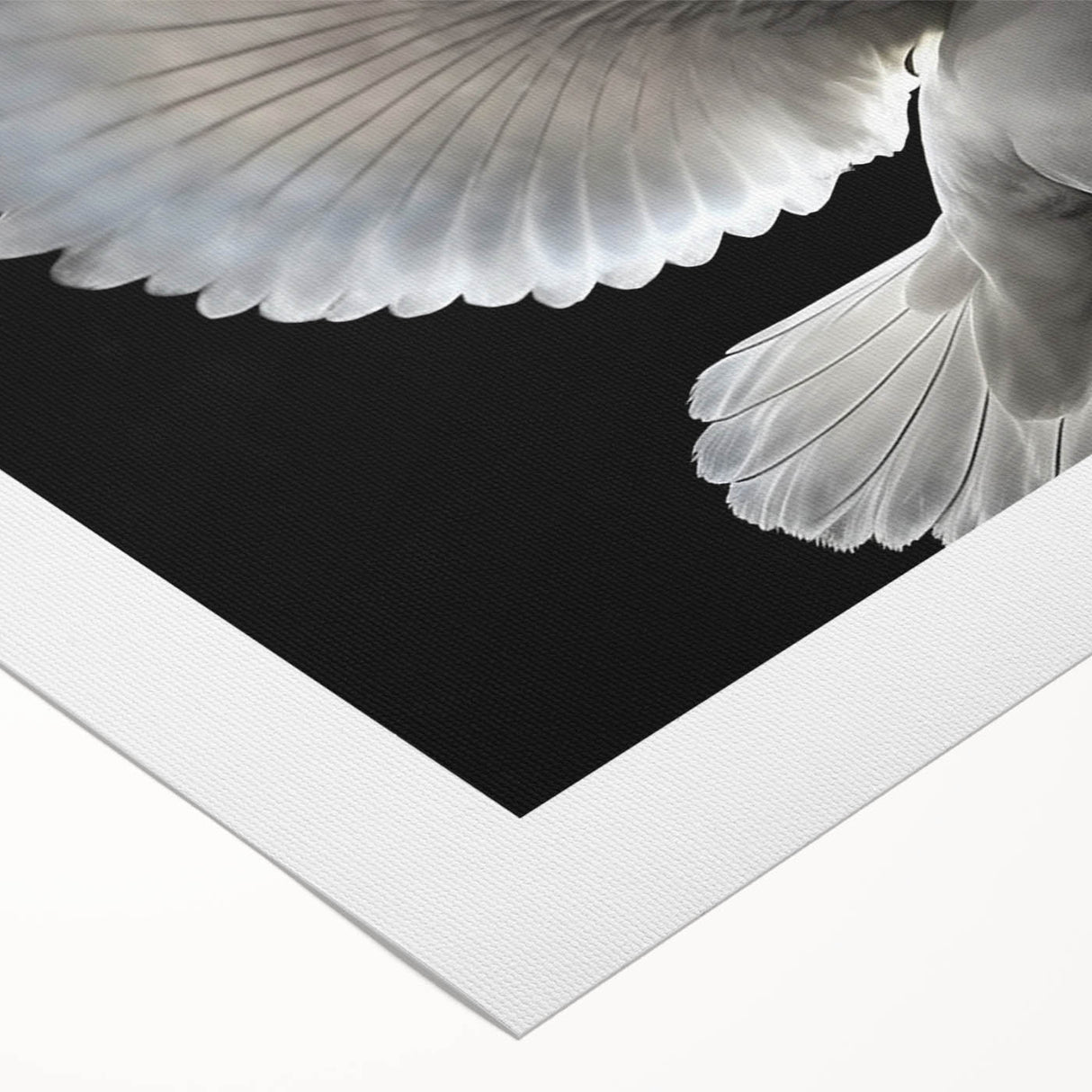 Rolled canvas showcasing an intricate dove design in soft pastel colors, perfect for adding a serene touch to home decor. Ideal for nature lovers and art enthusiasts.
