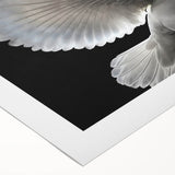 Rolled canvas showcasing an intricate dove design in soft pastel colors, perfect for adding a serene touch to home decor. Ideal for nature lovers and art enthusiasts.
