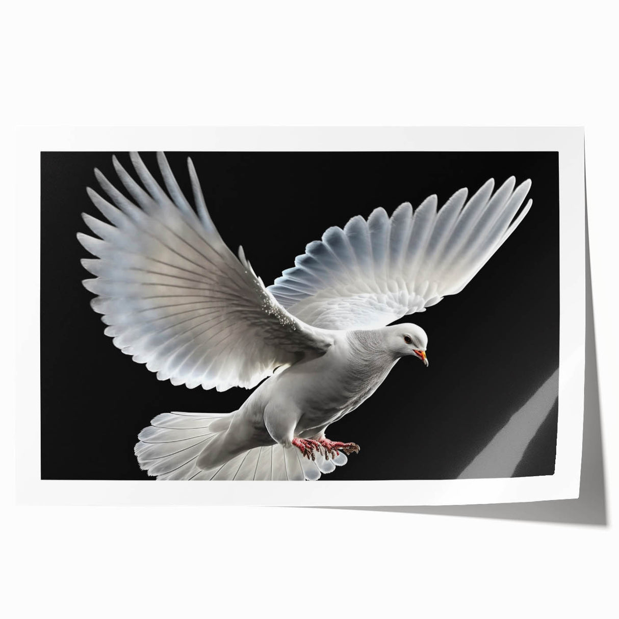 Rolled print of a serene dove design in soft pastel colors, showcasing delicate line art, perfect for adding a calming touch to home decor.