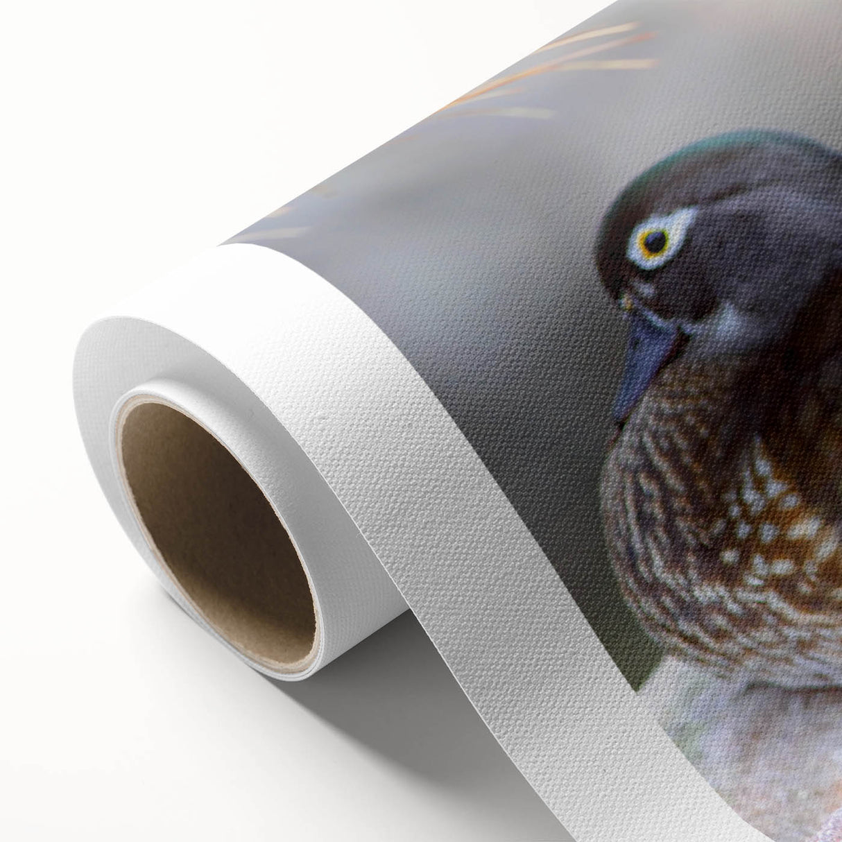 Rolled canvas showcasing a vibrant duck design wall art collection, featuring colorful birds against a natural backdrop, ideal for home decor.