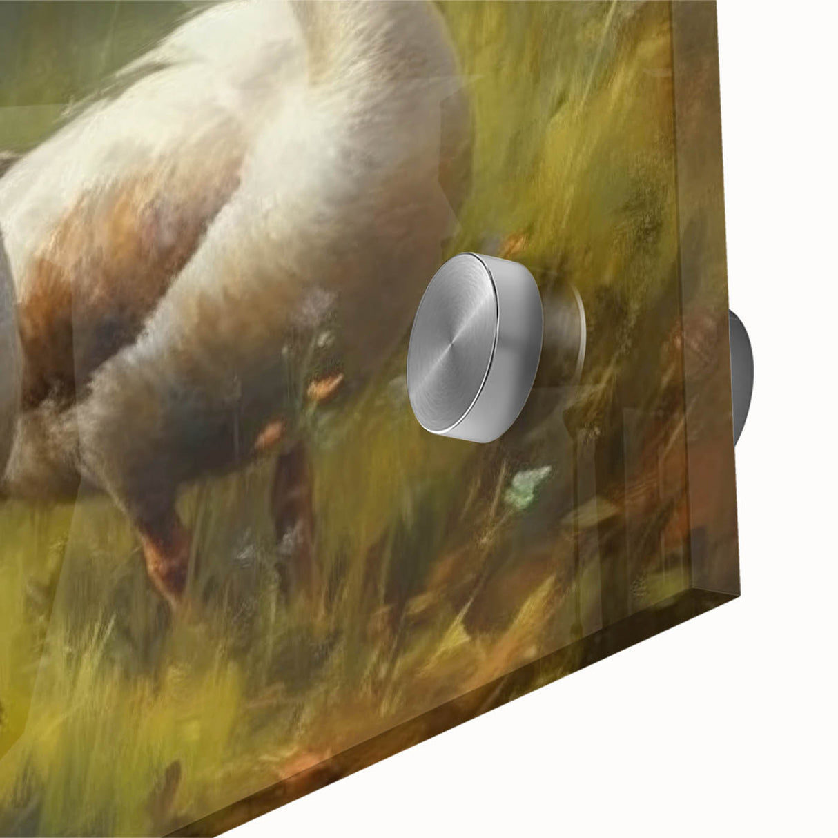 Close-up of a vibrant acrylic wall art piece showcasing a colorful duck design, set against a sleek glass background, perfect for modern decor enthusiasts.