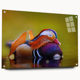 Acrylic glass wall art featuring a vibrant duck design in a side view, showcased with pins against a neutral background, ideal for home decor enthusiasts.