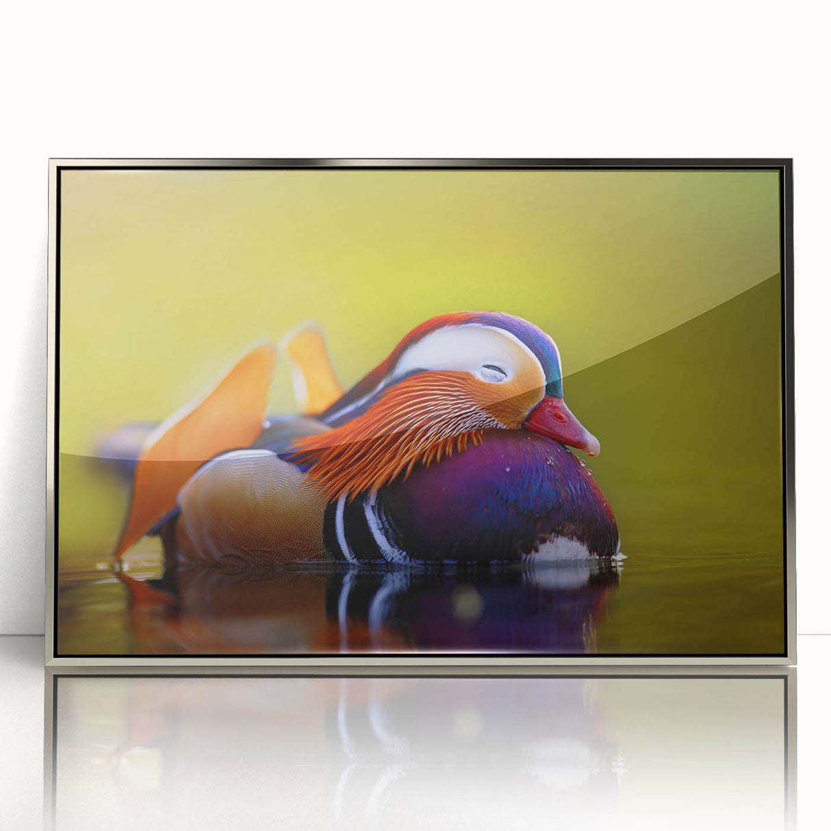 Framed wall art showcasing a vibrant duck design in acrylic, set in a sleek silver frame, ideal for adding a touch of nature-inspired elegance to any decor.