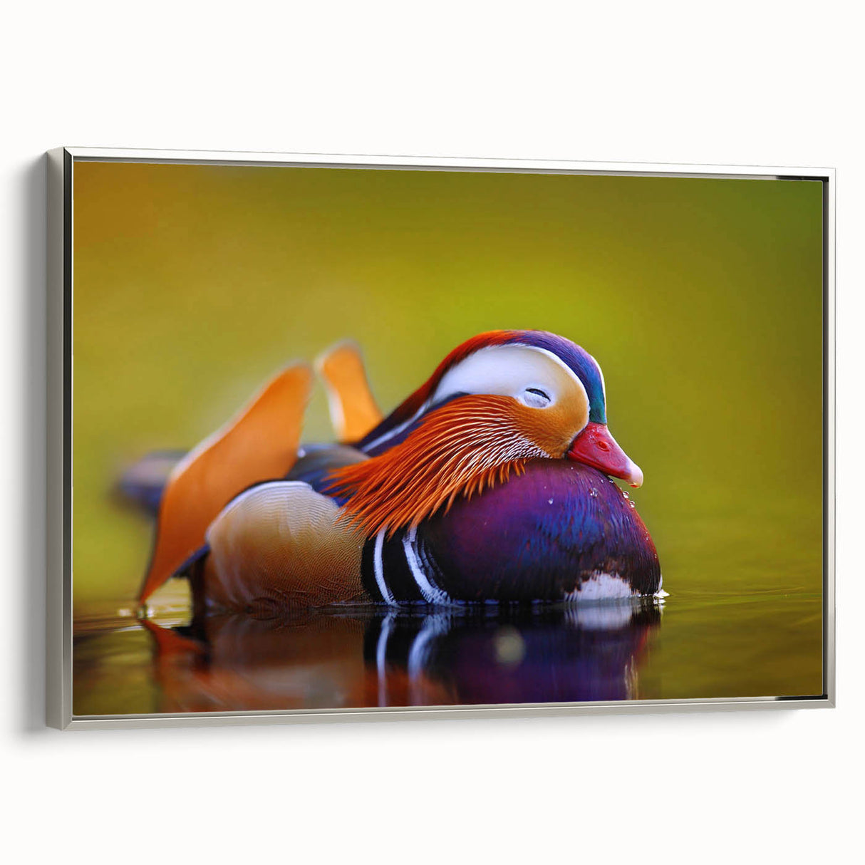 Framed canvas wall art featuring a serene duck design in silver tones, perfect for enhancing home decor with a modern touch. Ideal for nature lovers and art enthusiasts.
