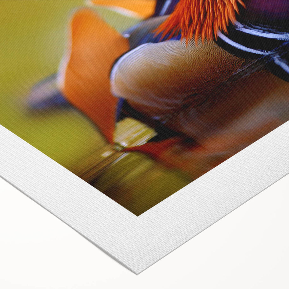 Colorful rolled canvas artwork showcasing a vibrant duck design, perfect for home decor. The print features intricate details and a textured finish, ideal for bird and nature enthusiasts.