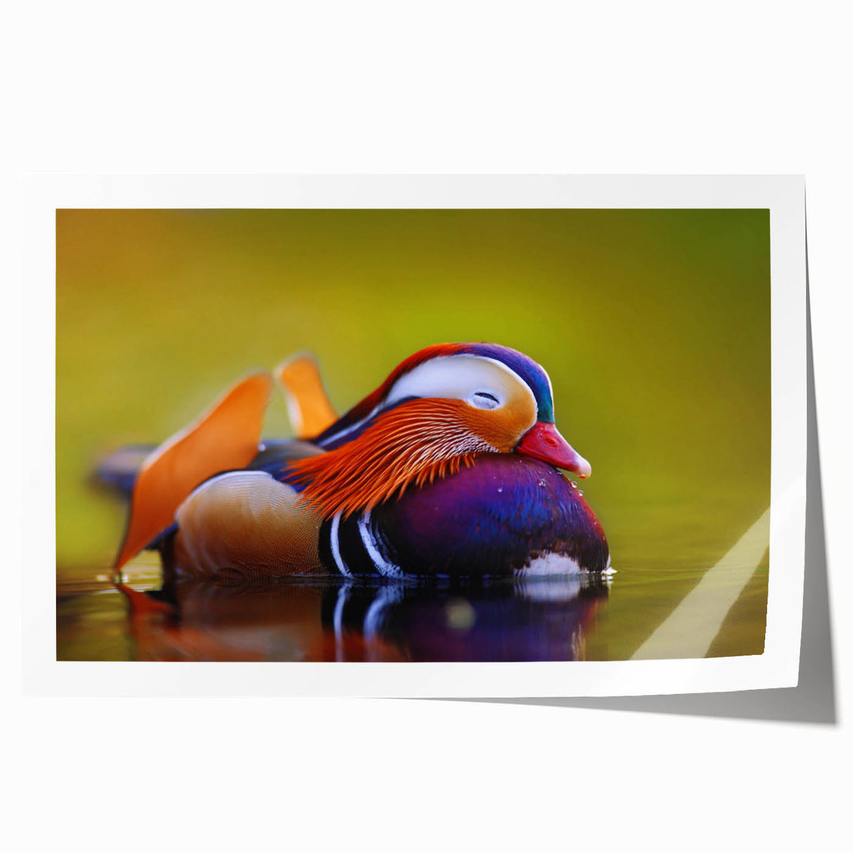 Colorful wall art featuring a whimsical duck design, printed on high-quality paper, showcasing vibrant hues and intricate details, ideal for home decor.