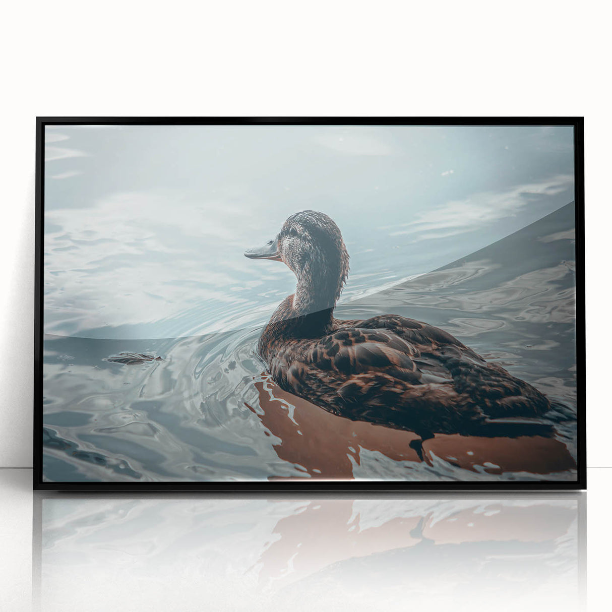Framed wall art collection showcasing a black acrylic design of ducks, set against a minimalist backdrop, ideal for modern home decor enthusiasts.