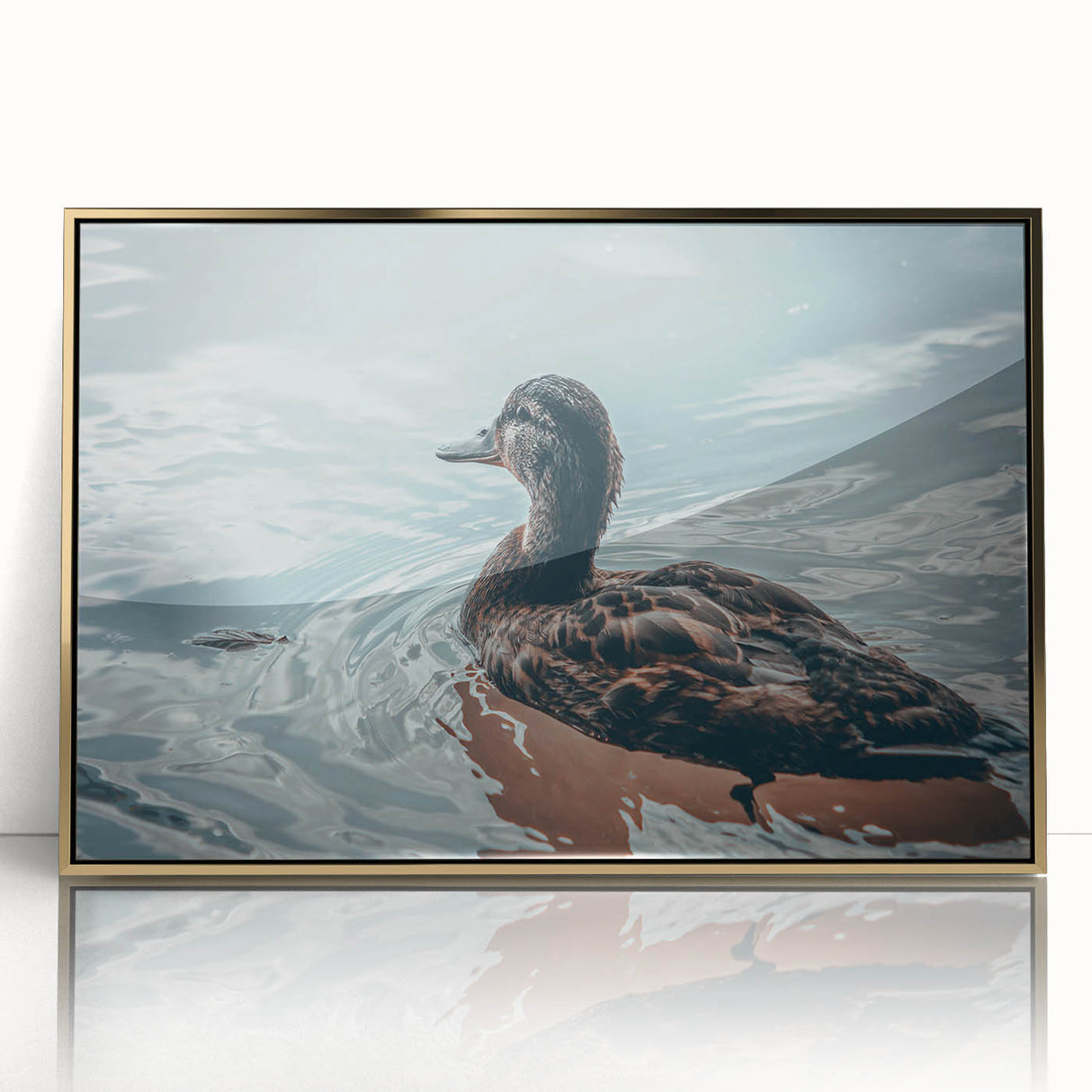 Framed wall art featuring a stylish duck design in gold acrylic, showcasing vibrant colors and intricate details, perfect for modern home decor.