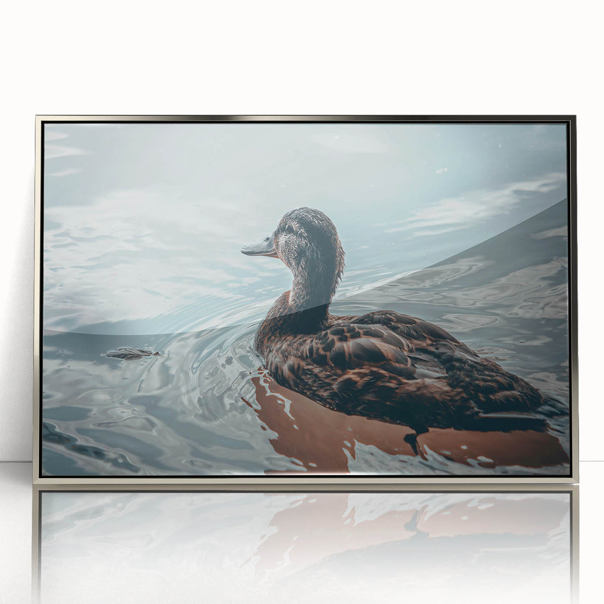 Framed wall art featuring a silver-acrylic duck design, showcasing vibrant colors and intricate details, perfect for enhancing home décor and adding a touch of elegance.