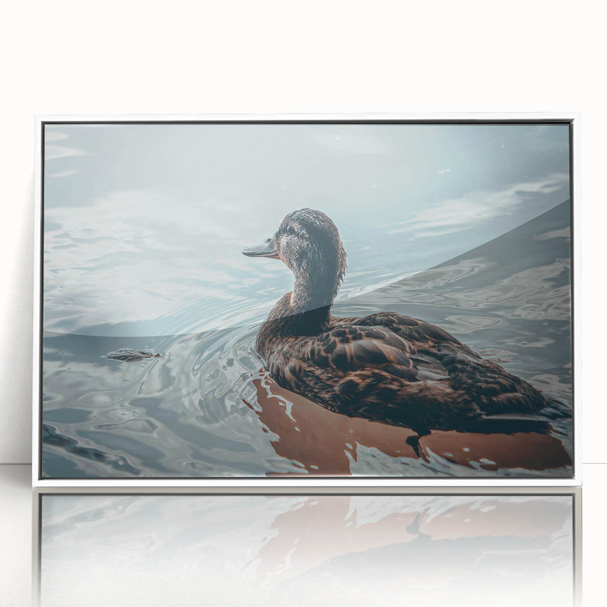 Framed wall art print featuring a vibrant duck design against a white background, showcasing intricate details and colors, ideal for modern home decor.