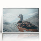 Framed wall art print featuring a vibrant duck design against a white background, showcasing intricate details and colors, ideal for modern home decor.