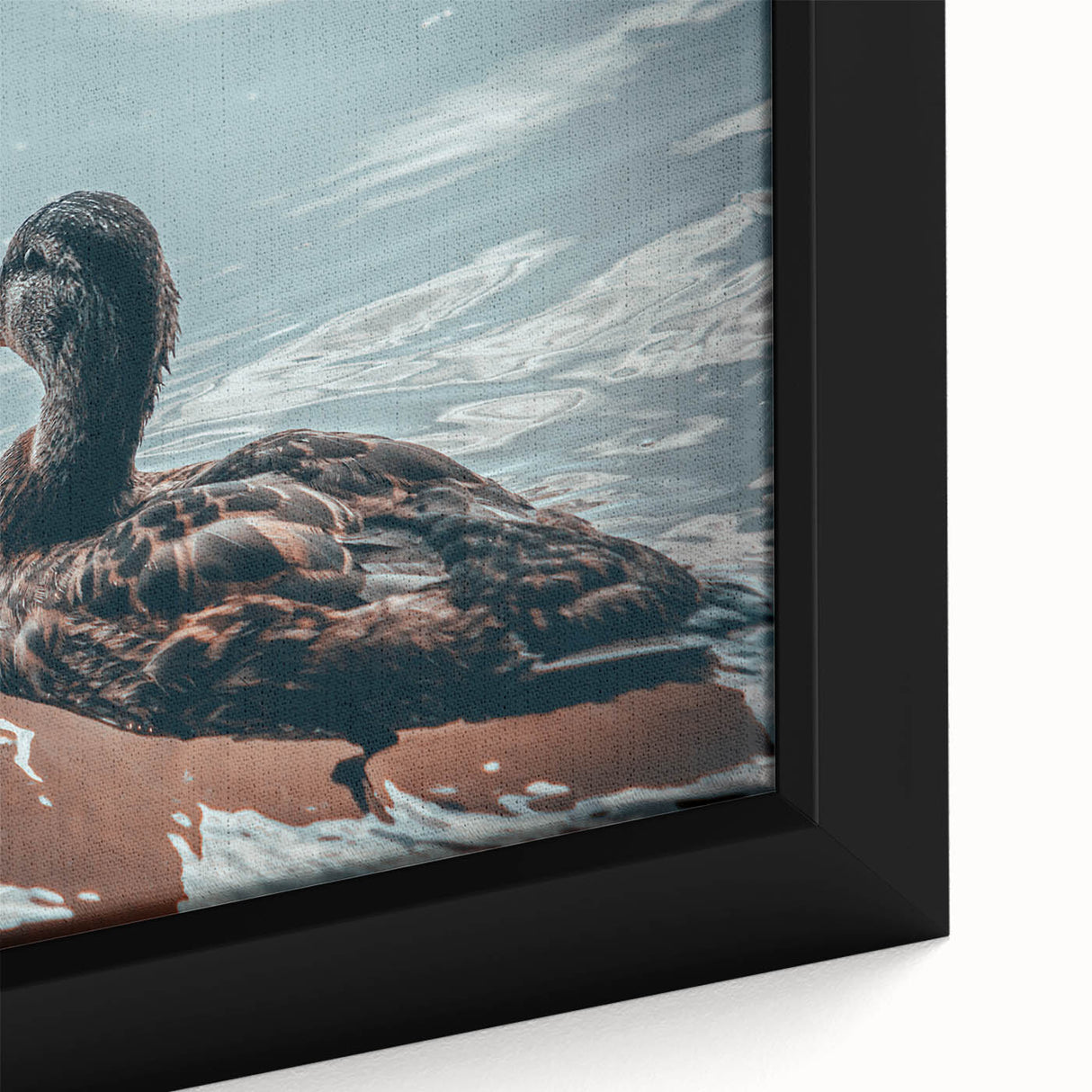 Close-up of a framed canvas wall art piece showcasing a colorful duck design, featuring vibrant hues of blue and orange, perfect for enhancing home decor.