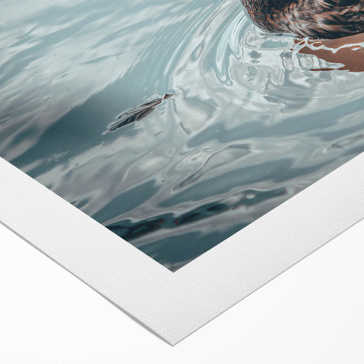 Rolled canvas art showcasing a vibrant duck design in a contemporary style, ideal for modern home decor. Perfect for bird lovers and art enthusiasts.