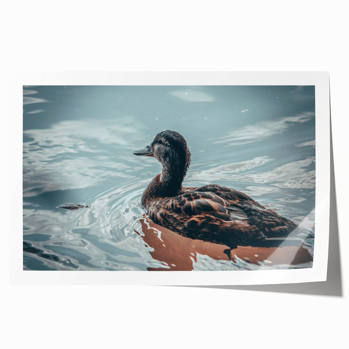 Colorful wall art design featuring a whimsical duck illustration surrounded by floral elements, ideal for home decor and children's rooms, rolled for easy framing.