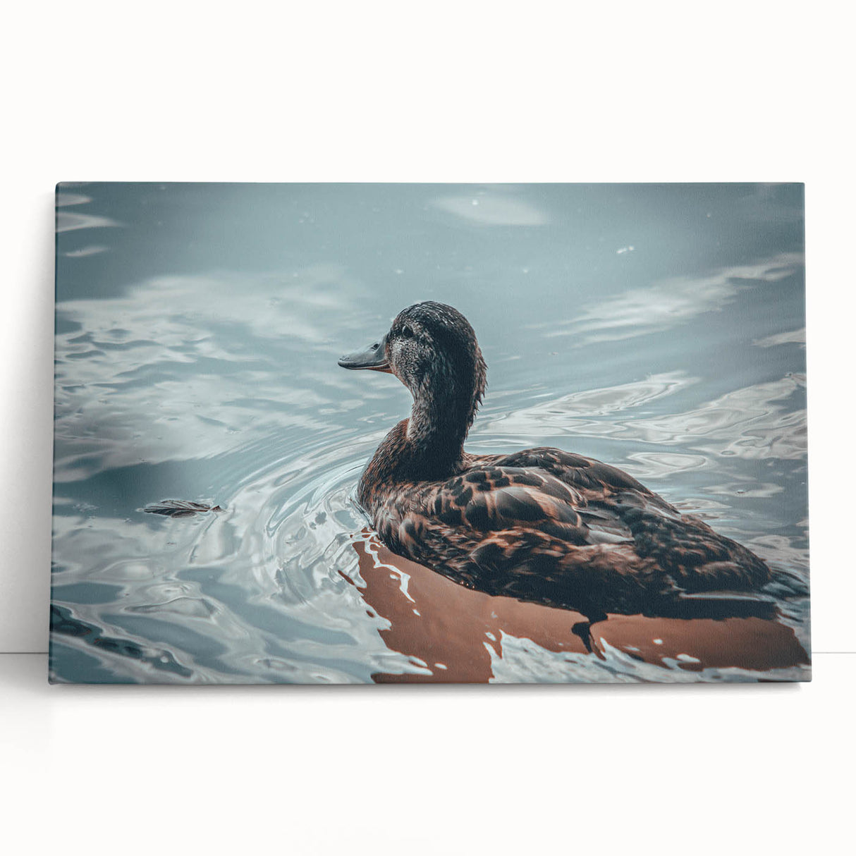 Colorful duck-themed wall art collection on stretched canvas, showcasing vibrant designs and playful illustrations, perfect for adding charm to home decor.