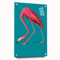 Flamingo-themed wall art collection displayed in a sleek acrylic glass frame, showcasing vibrant pink colors and modern design elements, ideal for home decor.