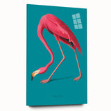 Flamingo-themed wall art design showcased in acrylic glass, highlighting vibrant pink birds against a colorful backdrop, perfect for modern home decor.