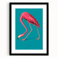 Framed wall art featuring a vibrant flamingo design, showcasing bold pink and green hues, set against a sleek black mat, ideal for modern home decor.