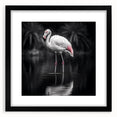 Framed wall art featuring a vibrant flamingo design with a black mat, perfect for adding a tropical touch to home decor. The artwork showcases intricate details and bright colors, creating an eye-catching focal point for any room.