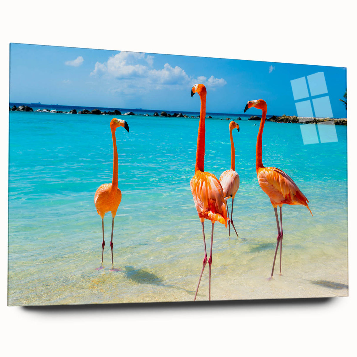 Flamingo-themed wall art collection displayed in a sleek acrylic glass frame, showcasing vibrant pink and orange hues, perfect for modern decor.