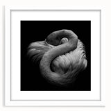 Flamingo wall art collection featuring vibrant pink flamingos in a modern frame with a white mat, perfect for adding a tropical touch to home decor.
