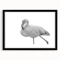 Framed wall art featuring a vibrant flamingo design, set against a sleek black mat, perfect for enhancing modern home decor with a tropical flair.