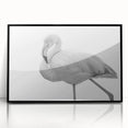 Framed acrylic wall art featuring a vibrant flamingo design on a sleek black background, perfect for adding a tropical touch to modern home decor.