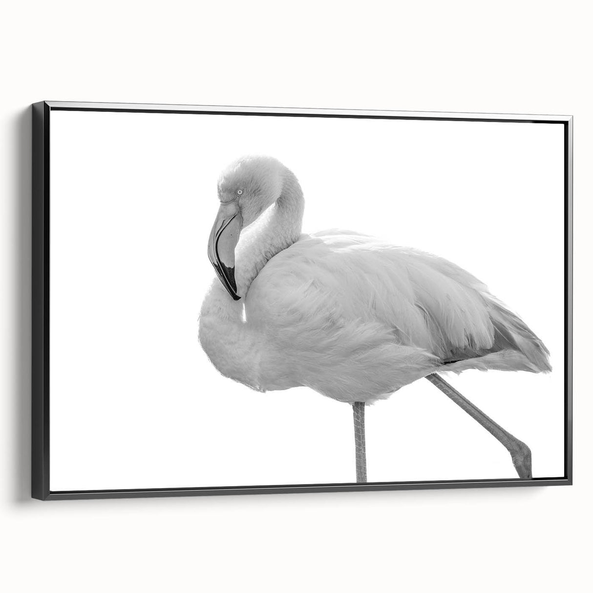 Framed wall art featuring a vibrant flamingo design, presented in a sleek black frame, showcasing a side view that highlights its modern aesthetic for home decor. This piece adds a colorful touch to any room, perfect for bird lovers and contemporary art enthusiasts.