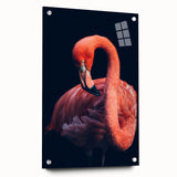 Flamingo-themed wall art design displayed in a sleek acrylic glass frame, featuring vibrant pink and orange colors, ideal for modern decor. Perfect for bird lovers.