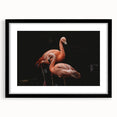 Framed wall art featuring a vibrant flamingo design in pink tones, set against a sleek black frame with a mat for an elegant display in modern decor.