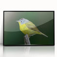 Framed wall art featuring a vibrant garden birds design with a black frame, showcasing colorful bird illustrations and lush foliage, perfect for home decor.