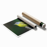 Colorful wall art print showcasing various garden birds perched on branches, designed with vibrant hues, ideal for nature-inspired home decor.