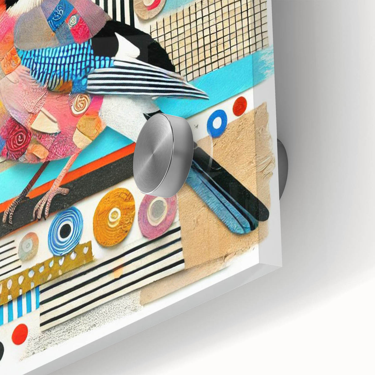 Close-up of a vibrant garden birds wall art design, showcasing colorful bird illustrations on acrylic glass, perfect for enhancing home decor with nature-inspired elegance.