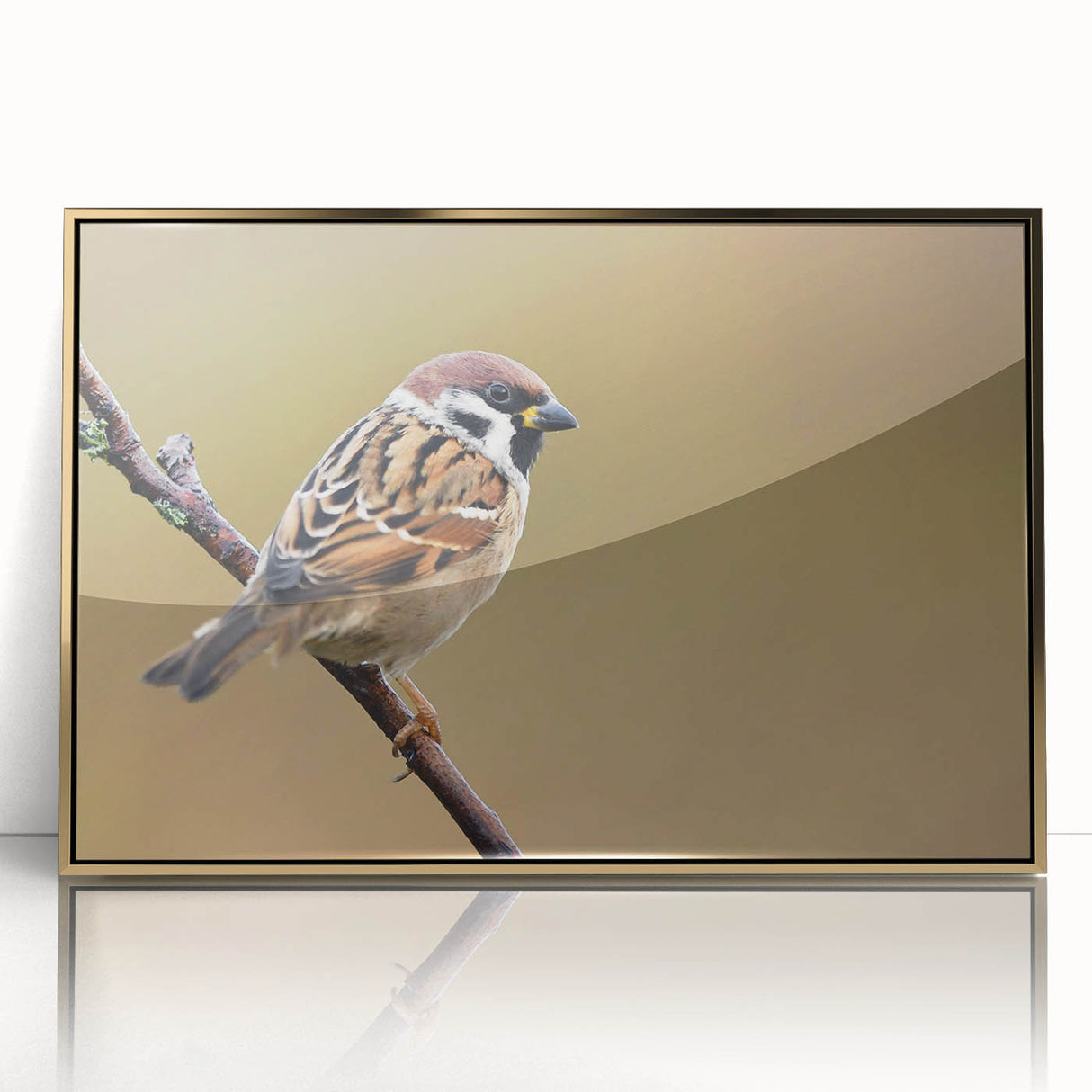 Framed wall art collection showcasing vibrant garden birds design, featuring intricate details and a gold-acrylic finish, perfect for enhancing home decor.