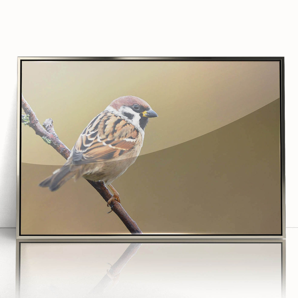 Framed wall art showcasing a collection of vibrant garden birds in intricate detail, featuring a silver-acrylic frame that enhances the colorful design. Ideal for nature lovers and home decor enthusiasts.