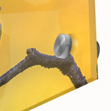 Vibrant close-up of a garden birds wall art collection featuring colorful acrylic glass designs, showcasing detailed illustrations of various birds in a serene natural setting. Ideal for home decor enthusiasts and nature lovers.