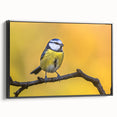 Framed canvas wall art showcasing a vibrant garden bird design on a black background, perfect for home decor. The artwork emphasizes colorful birds in natural settings, enhancing any room's aesthetic.