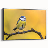 Framed canvas wall art showcasing a vibrant garden bird design on a black background, perfect for home decor. The artwork emphasizes colorful birds in natural settings, enhancing any room's aesthetic.