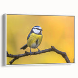 Framed wall art showcasing a vibrant garden birds design, with detailed illustrations of various colorful birds on a white background, enhancing home decor.