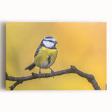 Stretched canvas wall art showcasing a vibrant garden birds design, featuring colorful avian illustrations against a soft, neutral background, perfect for home decor.