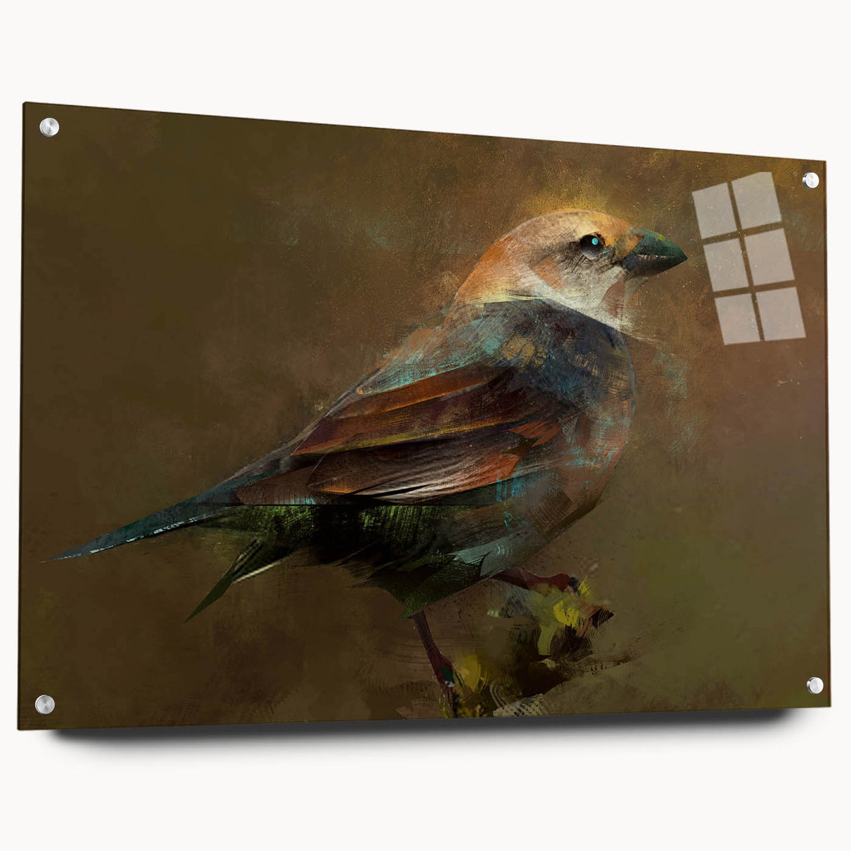 Colorful acrylic glass wall art featuring a collection of 24 garden birds, elegantly displayed in a side view with pins for easy mounting, ideal for nature lovers.