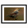 Framed wall art collection showcasing colorful garden birds on a black background, designed to enhance home decor. Perfect for bird lovers and nature enthusiasts.
