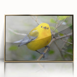 Framed wall art showcasing a vibrant garden bird design with gold accents, perfect for home decor. The piece features intricate details and bright colors, adding a lively touch to any room.