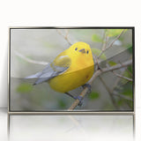 Framed wall art collection showcasing a vibrant design of garden birds in colorful acrylic, elegantly displayed with a silver border, perfect for nature enthusiasts.