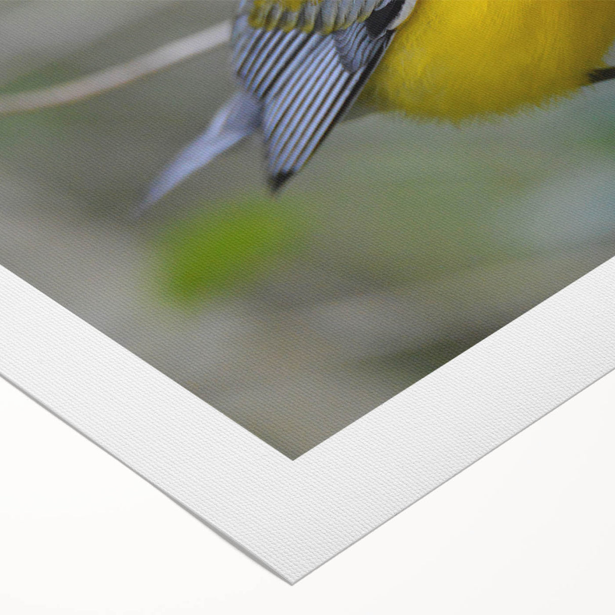 Colorful rolled canvas wall art featuring a collection of garden birds perched on branches, designed to enhance decor with vibrant nature themes, packaged securely for delivery.