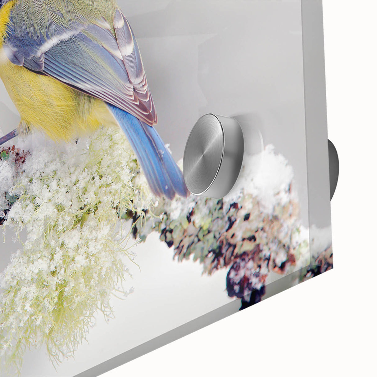 Close-up of a vibrant acrylic wall art piece depicting colorful garden birds perched amid lush foliage, ideal for nature enthusiasts and home decor lovers. The artwork showcases intricate details and vivid colors, enhancing any living space or office.
