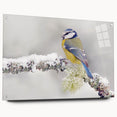 Acrylic glass wall art collection showcasing vibrant garden birds in a colorful design, displayed from the side with decorative pins, ideal for nature enthusiasts.